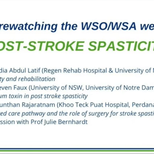 Post-stroke spasticity