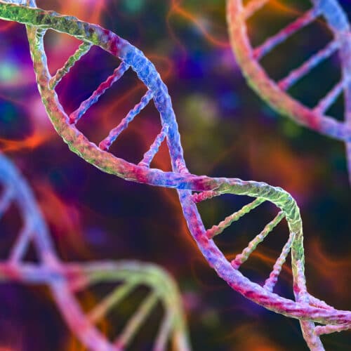 Genetic Mutations in Stroke