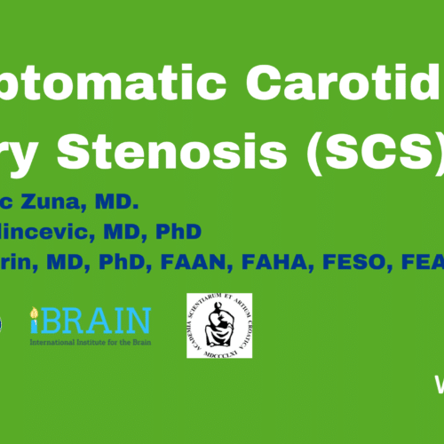 Case Study – Symptomatic Carotid Artery Stenosis (SCS)