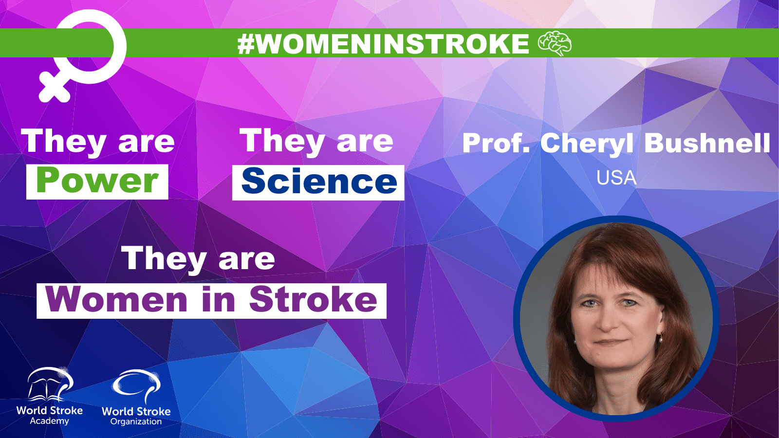 Women in Stroke – Cheryl Bushnell
