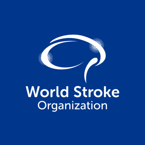 WSO/StrokeConnector webinar: Stroke Care in Africa: priorities, research, what next?