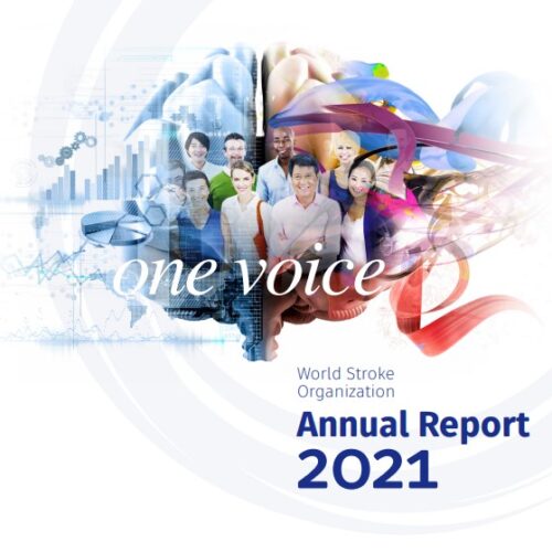 WSO Annual Report for 2021