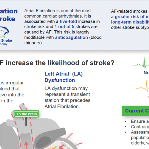New: WSA Infographic on Atrial Fibrillation (AF) and Stroke