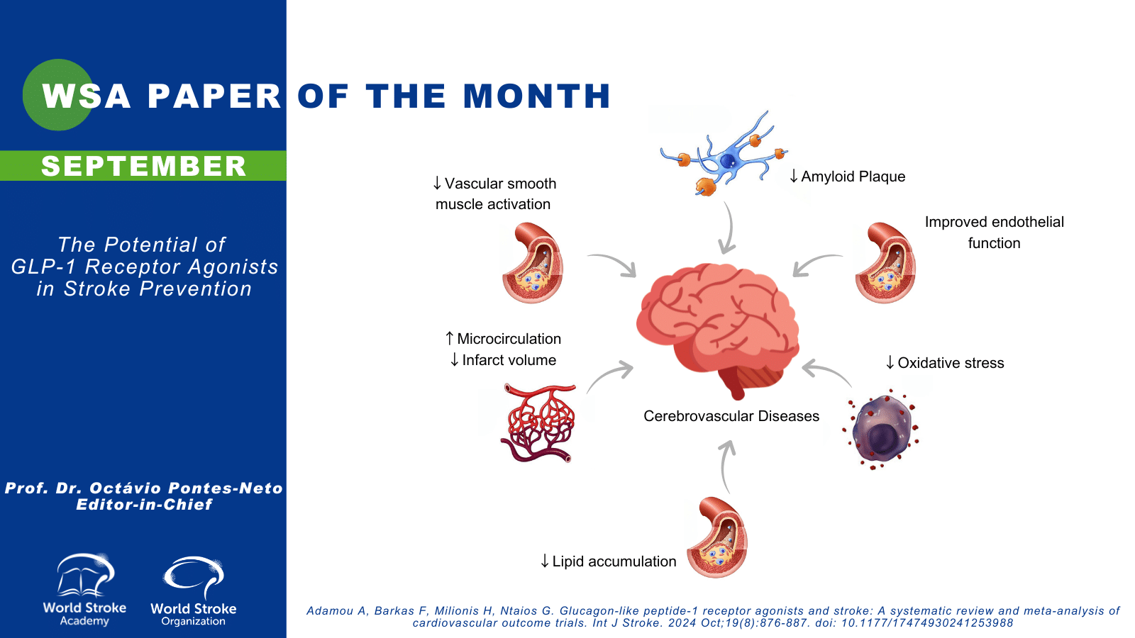 glp-1 activate reviews The Paper of The Month - September
