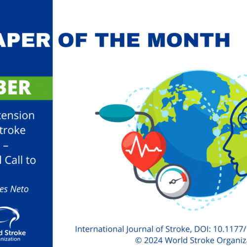 The Paper of The Month – December