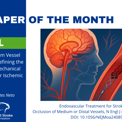 The Paper of The Month – April
