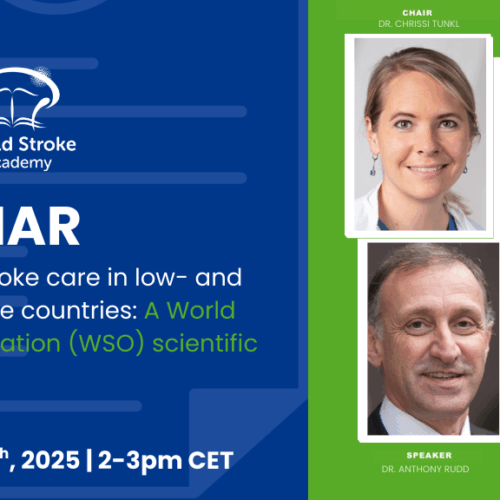 WSO Scientific Statement Spotlight: Prehospital Stroke Care in LMICs