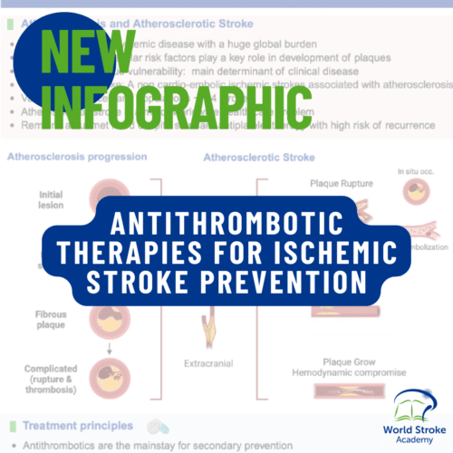 Infographic on Antithrombotic Therapies for Ischemic Stroke Prevention
