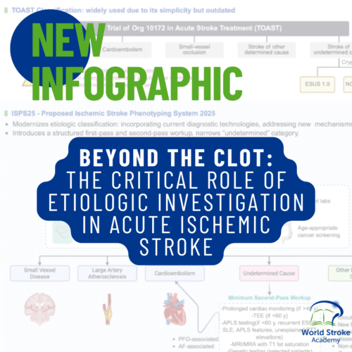 Infographic on The Critical Role of Etiologic Investigation in Acute Ischemic Stroke