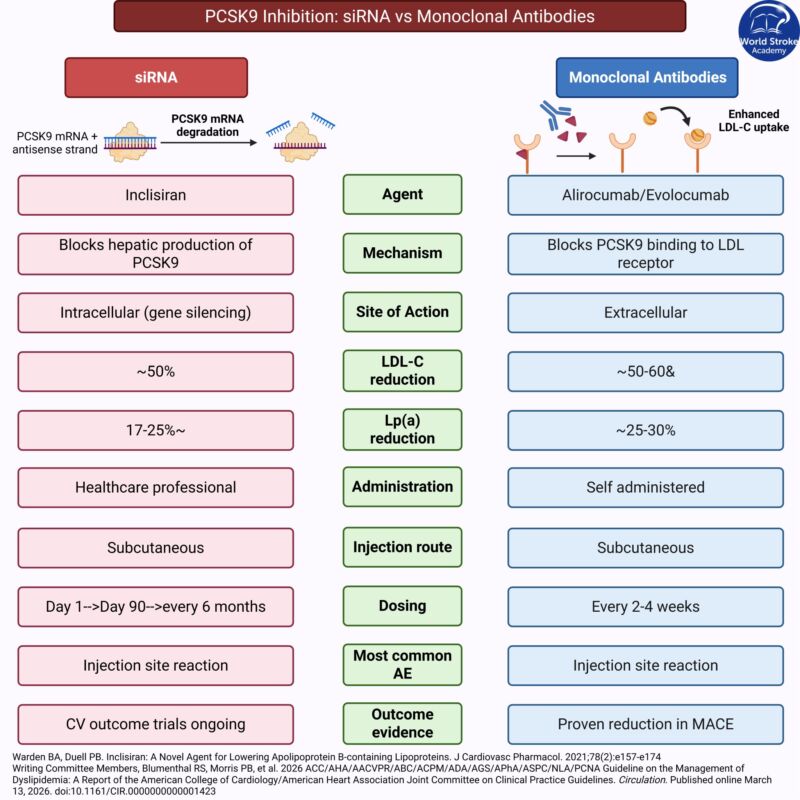 Image for the Tweet beginning: #MondayTip
New AHA dyslipidemia guides emphasizes