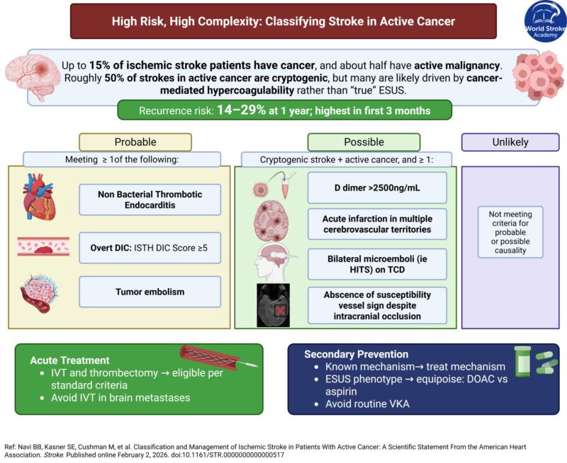 Image for the Tweet beginning: #MondayTip
Cancer-related stroke ≠ routine ESUS

~50%