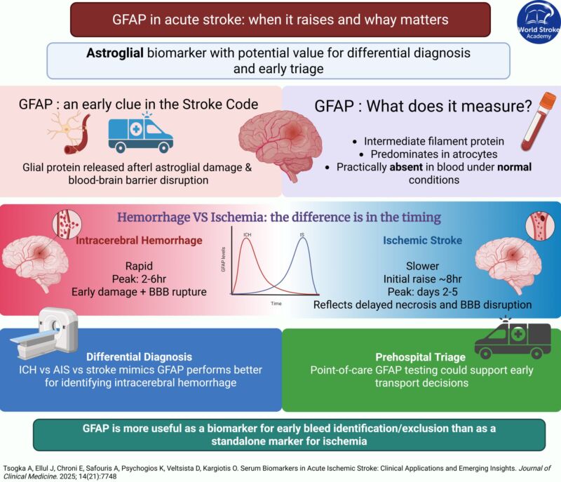 Image for the Tweet beginning: #MondayTip
#GFAP 
📈Rises early in intracerebral